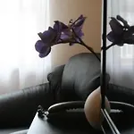 Superior Vantis Riverside Riga